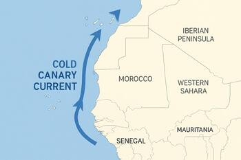 Mapa simplificado da corrente das Canárias descendo ao longo do Atlântico leste